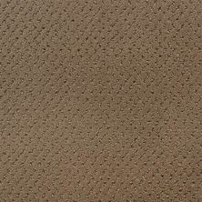 Fabrica Power Point Toffee 602PP-PP31