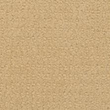 Fabrica Chinois Golden Retriever 604CI-761CI