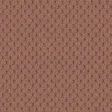 Fabrica Adulation Strada 610AD-272AD