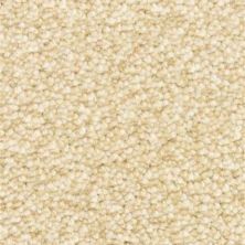 Dixie Home Spirit Seagull 6129-11004