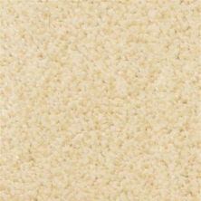 Dixie Home Spirit Schnauzer 6129-12001