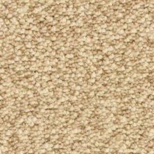 Dixie Home Spirit Sea Shell 6129-24003