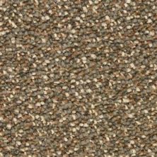 Dixie Home Spirit Seagull 6129-89009