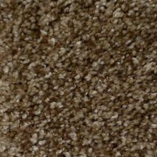 Dh Floors Brilliance Tenderfoot 6304-27525