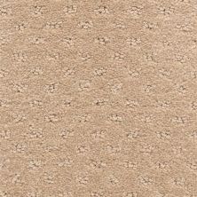 DH Floors Dreamer Brass 6839-34238