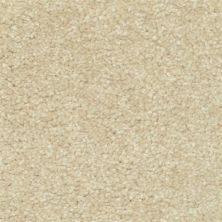 DH Floors Magic Moment Safari Bisque 6946-20175