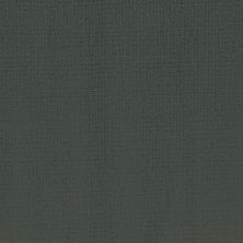 Fabrica Shimmer Cortina 733SH-576SH