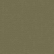 Fabrica Shimmer Carmel 733SH-641SH