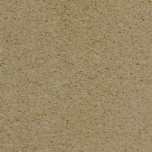 Fabrica Cotton Club Belgium Cream 803CT-CT09