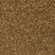Fabrica Cotton Club Ground Nutmeg 803CT-CT16
