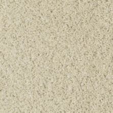 Fabrica Cotton Club Porcini 803CT-CT35