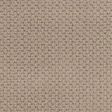 Masland Beachfront Worn Leather 9704-748