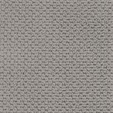 Masland Beachfront Dolphin Grey 9704-949