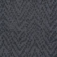 Masland Winston Charcoal 9195-801 Masland Winston Charcoal 9195-801