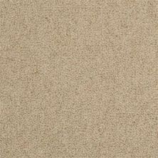 Masland Wexford Flanagan 9202-501