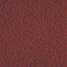 Masland Novellino Carmine 9215-150