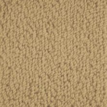 Masland Novellino Wheat 9215-374
