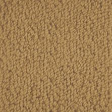 Masland Novellino Golden 9215-377