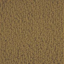 Masland Novellino Bronze 9215-393