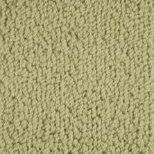 Masland Novellino Putty 9215-549