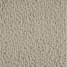 Masland Novellino Silver Birch 9215-601