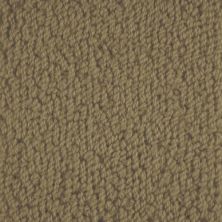 Masland Novellino Tawny 9215-632
