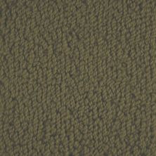 Masland Novellino Cocoa 9215-684