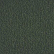 Masland Novellino Forest 9215-792