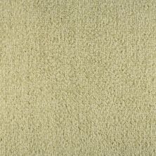 Masland Bellini Avorio 9221-65