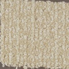 Masland Chesapeake Sand 9229-50