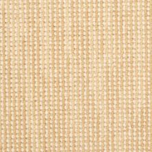 Masland Ambiance Sand Dune 9261-221