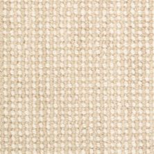 Masland Ambiance Driftwood 9261-821