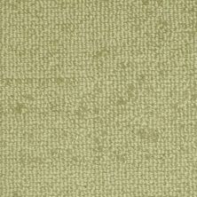 Masland Batavia Olivia 9285-584