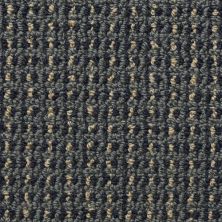 Masland Tresor II Denim Wash 9307-639