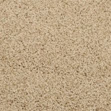 Masland Shangri-la Tibet 9433-509