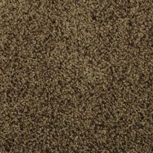 Masland Shangri-la Lama 9433-652