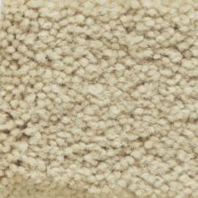 Masland Americana Snow Cap 9439-23