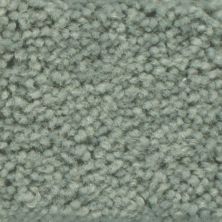 Masland Americana Largo 9439-419