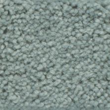 Masland Americana Captiva 9439-450