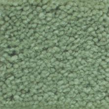 Masland Americana Landscape 9439-739