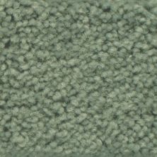 Masland Americana Hampton 9439-749