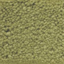 Masland Americana Park 9439-756