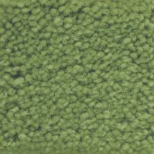 Masland Americana Playground 9439-771