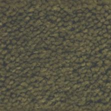 Masland Americana Adirondack 9439-785