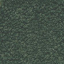 Masland Americana Ozark 9439-796