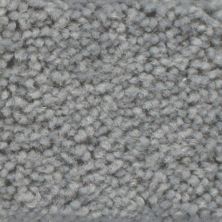 Masland Americana Daytona 9439-862