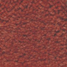 Masland Americana Landmark 9439-946