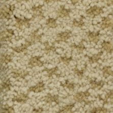 Masland Seurat Antique Gold 9440-347