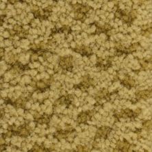 Masland Seurat Amber 9440-361