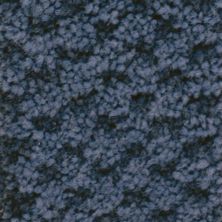 Masland Seurat Cobalt 9440-459